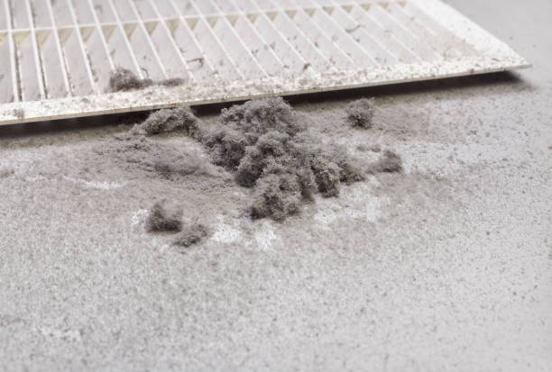 Best Commercial Air Duct Cleaning  in Kendall, FL